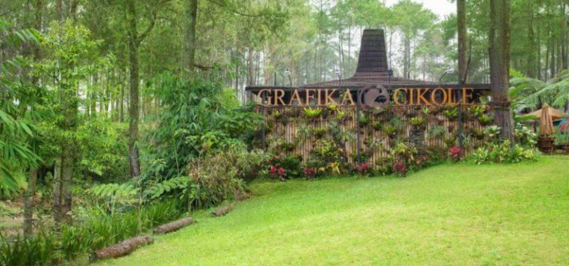 Grafika Cikole
