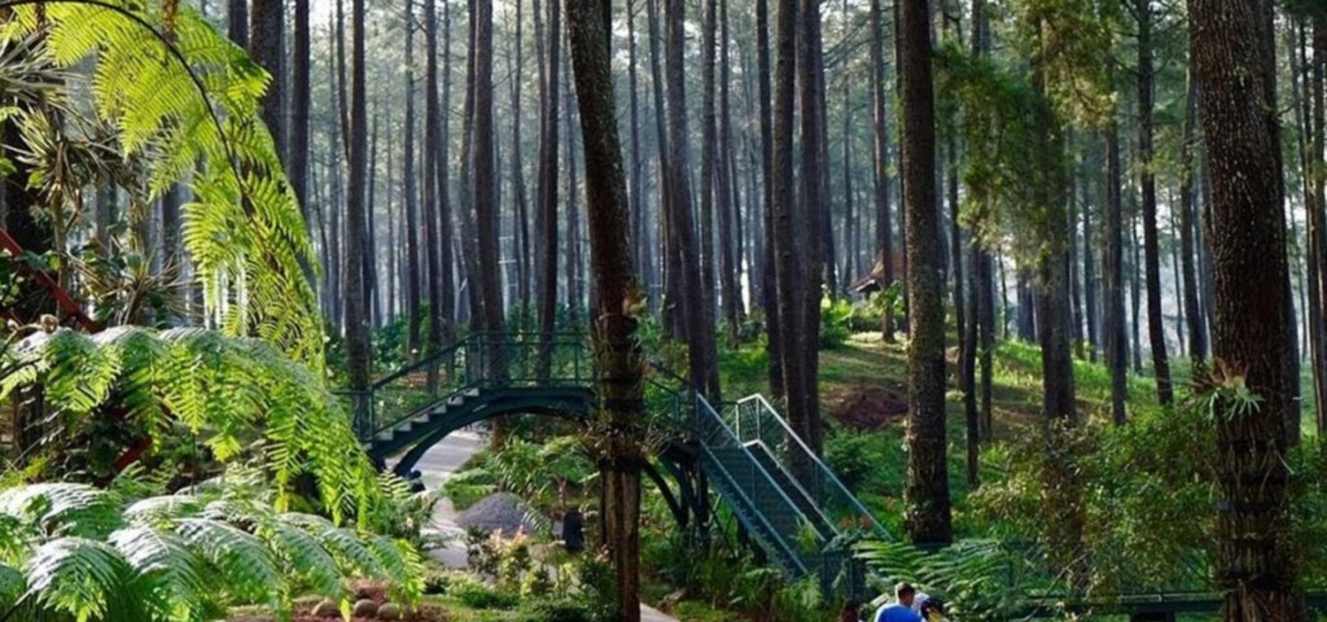 Lembang Jungle Discovery Bandung