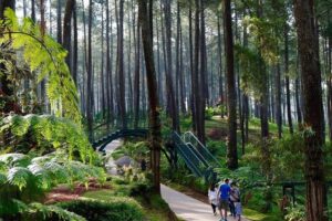 Lembang Jungle Discovery Bandung